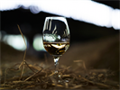Bruichladdich Selects Praytell To Handle Global Comms