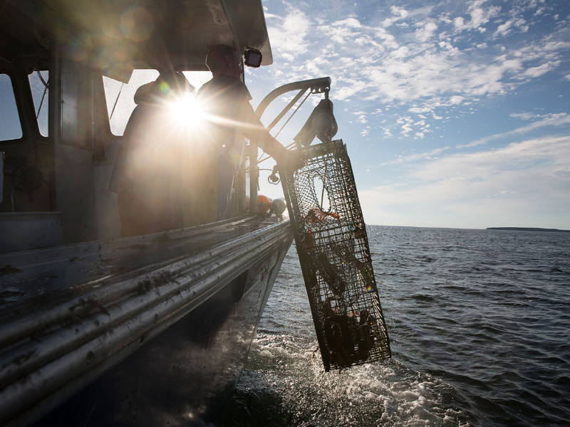 Maine Lobster Industry Stays With Weber Shandwick After Extensive Review 