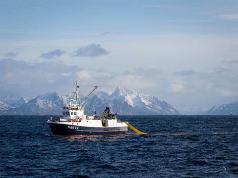 Norwegian Seafood Council Names Padilla US AOR