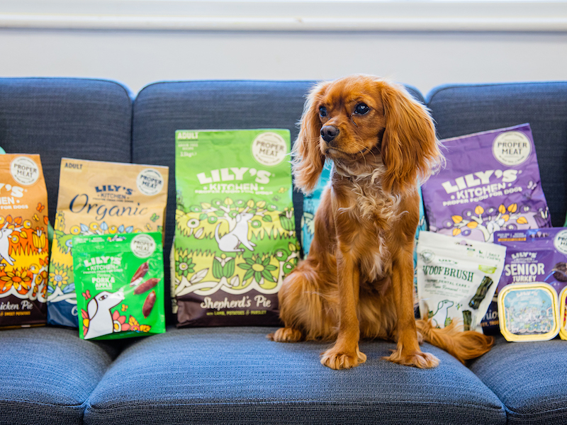 B-Corp Pet Food Brand Appoints Kindred On PR & Social Brief