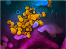 Implications Of Coronavirus: How To Communicate In Turbulent Times