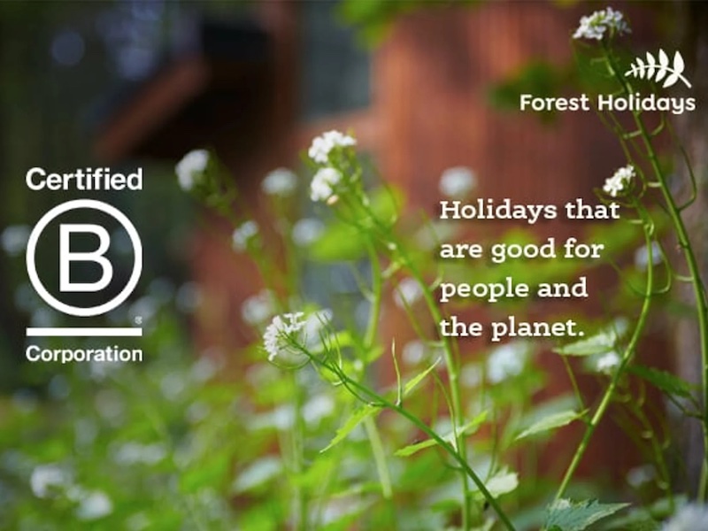 Sustainable Holiday Firm Appoints The Fourth Angel