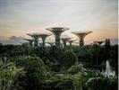 Study: Singapore's Global Reputation Is 68% Positive Despite Limited News Recall